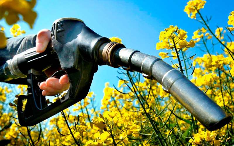 ¡EN DEFENSA DE LOS BIOCOMBUSTIBLES!